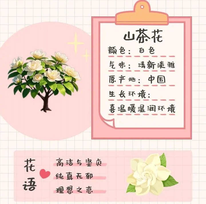 我的花园世界官方版