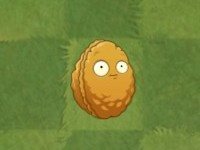 植物大战僵尸2国际版中文版