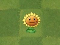 植物大战僵尸2国际版中文版