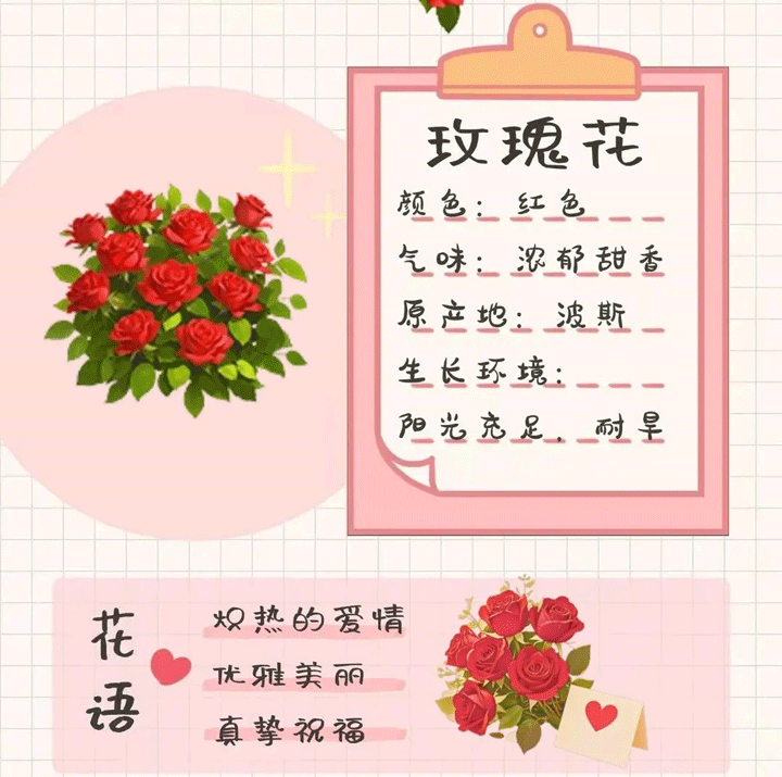 我的花园世界官方版