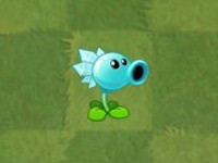 植物大战僵尸2国际版中文版