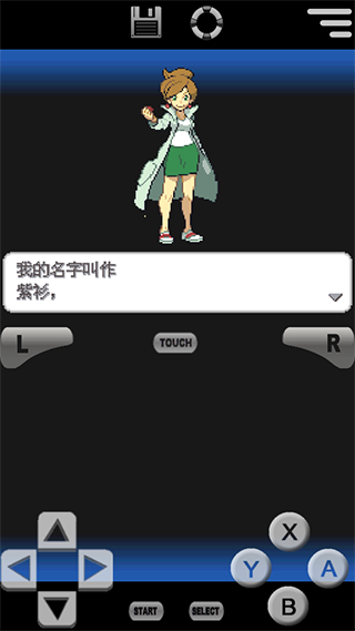 口袋妖怪黑2汉化版