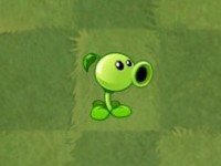 植物大战僵尸2国际版中文版