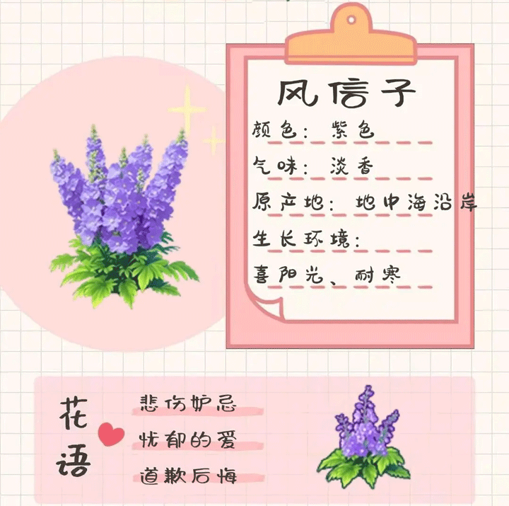 我的花园世界官方版