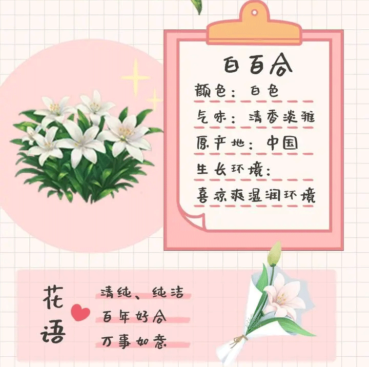 我的花园世界官方版