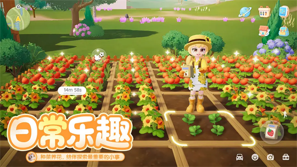 心动小镇官方正版