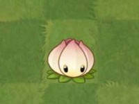 植物大战僵尸2国际版中文版
